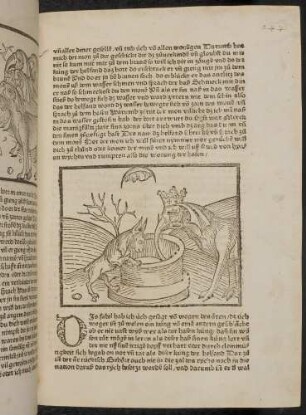 Der alte Hase und der Elefantenkönig am Brunnen; (Kapitel V: Von den Raben und den Aaren)