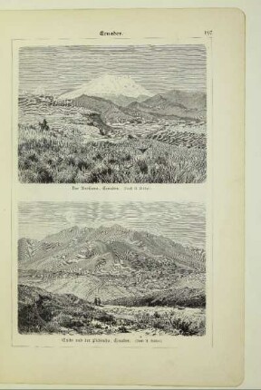 Der Antisana, Ecuador