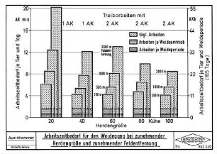 Arbeitszeitbedarf für den Weidegang bei zunehmender Herdengröße und zunehmender Feldentfernung