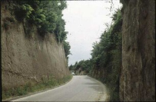 Lößhohlweg am Kaiserstuhl