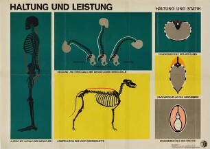 Haltung und Statik