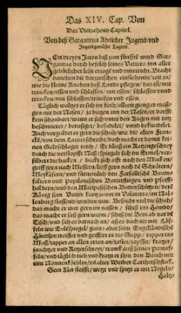 Das Vierzehend Capitel.