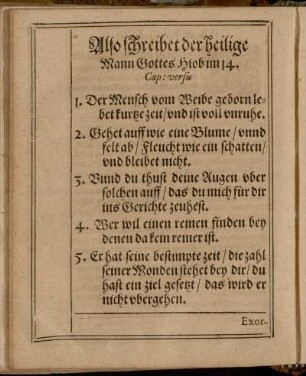 Leichtext