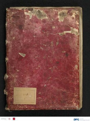 Abt. 100 Nr. 1 - Salbuch des Wormser Domstifts