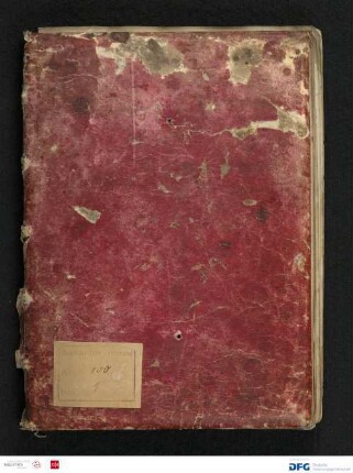 Abt. 100 Nr. 1 - Salbuch des Wormser Domstifts