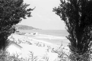 St. Konstantin: Strand, Gesamtansicht mit Bäumen