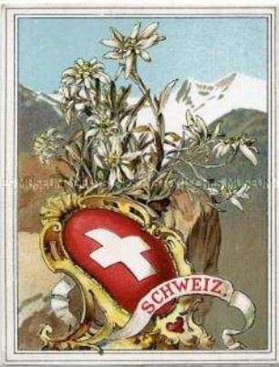 Postkarte mit Wappen der Schweiz