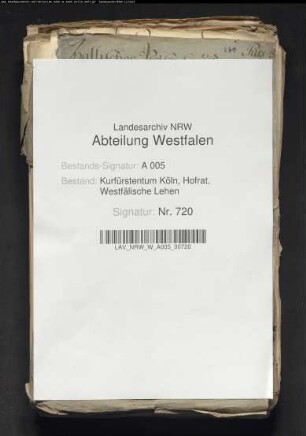 Hallisches Waisenhaus gegen von Canstein wegen Herausgabe des Allodialgutes, Band 5