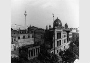 Blick auf das zerstörte Neue Museum