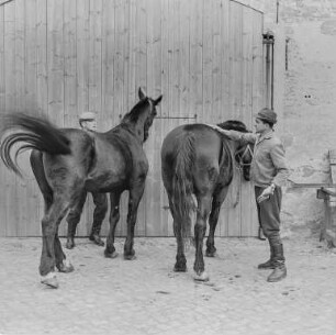 Osterreiten Wittichenau