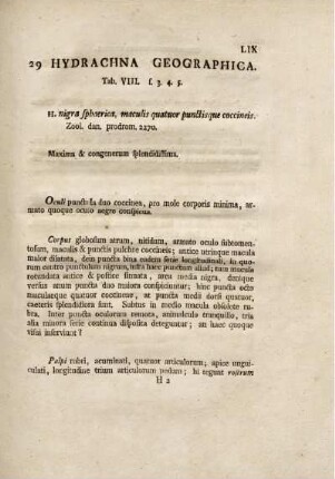 29. Hydrachna Geographica.