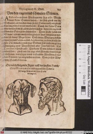 Von den engen und schmalen Stirnen.