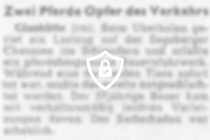 Zwei Pferde Opfer des Verkehrs