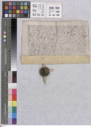 Neckarsteinach: Kaufbrief über die von Reinhard v. Nipberg an Wiprecht v. Helmstadt verkaufte Teile des Mittelschlosses Steinach und des Dorfs Epf...