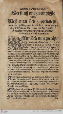 Titul 25. Weß man sich zuverhalten/wann einer geschlagen wirdt und stirbt ...