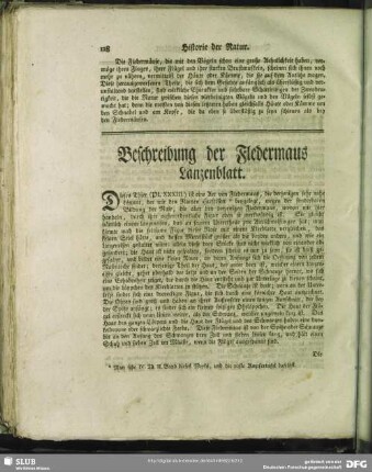 Beschreibung der Fledermaus Lanzenblatt