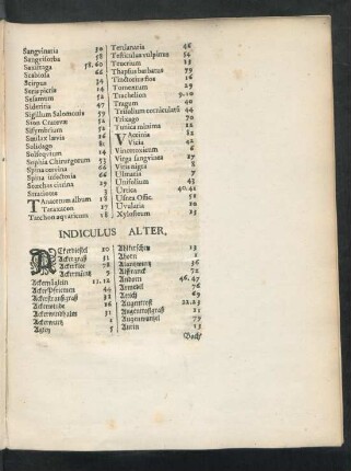 Indiculus Alter.