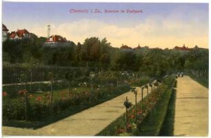 Chemnitz. Rosarium im Stadtpark