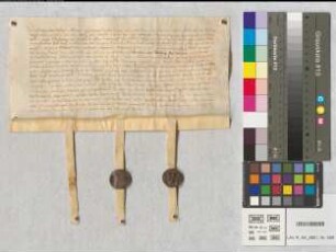 Ritter Heinrich von der Hoven macht seine Güter zu Uhlinghoven bei Waldorf zum gemeinen Lehen des Erzstifts. Mitsiegler: Wolpeus de Erpe, R., Gerhard von der Hoven, Kn.