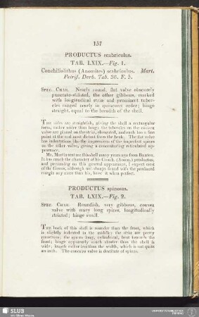 Productus scabriculus. Tab LXIX. - Fig. 1