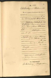 Standesamtsbuch der Stadt Aschaffenburg: Geburten 365/1900 - 184/1901