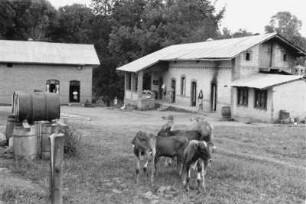 Gehöft : Blick auf ein Farmhaus in Lushoto.