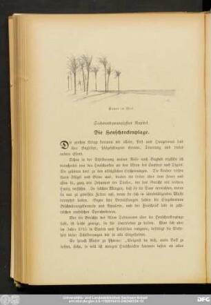 Sechsundzwanzigstes Kapitel. Die Heuschreckenplage.