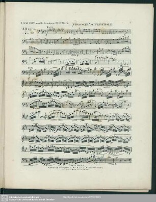 Violoncello Principale