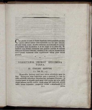 Varietatis Primae Specimina Terna. (Tab. XI. [bis] XIII.)