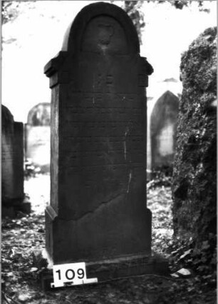 Grabstein 109 (Index: 100085523) Maße HxBxT: 147x56x25 cm Beschreibung: Stele, Sockel, eingezogener Rundbogenabschluß Symbolik: Levitenkanne: Grabstein 109 (Nachholaufnahme)