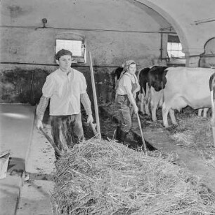 LPG Sohland und andere landwirtschaftliche Volksbetriebe - Bautzen
