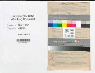 Entnazifizierung Anna Hauer, geb. 27.01.1901 (Putzmacherin)