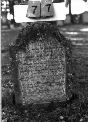 Grabstein 77 (Index: 99796127) Maße HxBxT: 68x44x7 cm Besonderheit: Kindergrab: Grabstein 77