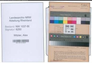 Entnazifizierung Alex Witzler , geb. 13.09.1900 ()