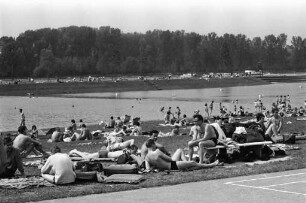 Erster Badebetrieb im Rheinstrandbad Rappenwört.