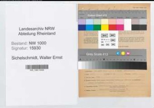 Entnazifizierung Walter Ernst Sichelschmidt, geb. 29.04.1907 (Automechaniker)