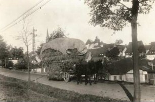 Altenberg (Erzgebirge). Mit Heu beladenes Pferdefuhrwerk, auf dem Weg nach Dresden