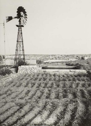 Südliches Hochland. Gemüsefeld mit Bewässerungsanlage gegen Windrad (Wasserpumpe)