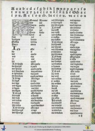 Vocabulario.