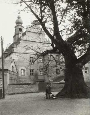 Prießnitz, Schloss : Prießnitz. Schloß. Giebelansicht mit mächtiger Linde