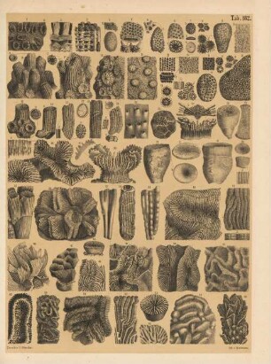 Tab. 182