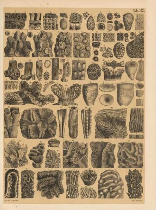 Tab. 182