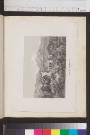 Einträge und Illustrationen Bl. 41 - 60