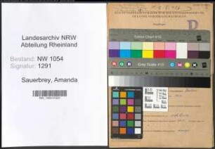 Entnazifizierung Amanda Sauerbrey , geb. 18.10.1901 ()