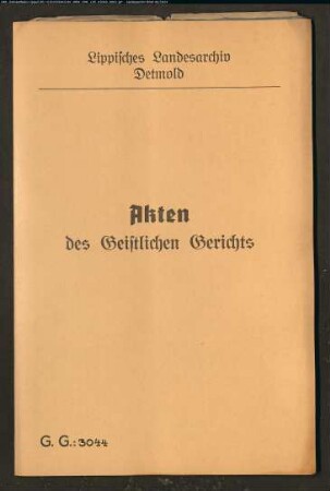 Papierfabrikant Hausmann zu Hillentrup gegen den Küster Voß in Schötmar, wegen einer Geldforderung
