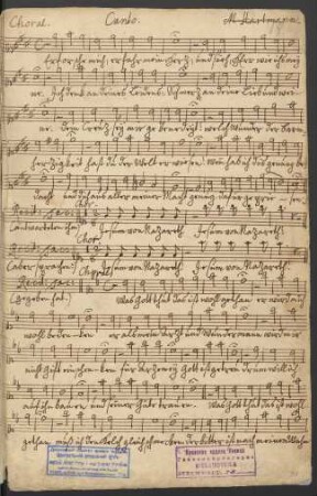 Canto (Magd)