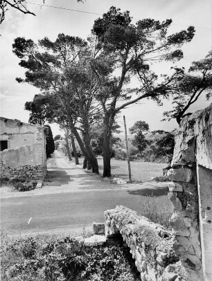 Frankreich. Ansicht eines verlassenen Bauernhofes bei Perpignon, der Hauptstadt des südfranzösischen Départements Pyrénées-Orientales