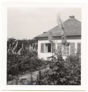 Garten Prof. Wilhelm Kempff, Potsdam: Haus mit Sommergarten