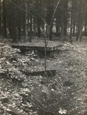 Stauchitz. Schloßpark