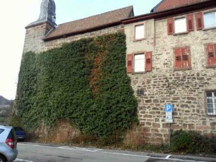 Stadtbefestigung-Ansicht im Süden von Südosten mit Turm Blauer Hut sowie Stadtmauer (mit stadtseitig aufgebauten Häusern) mit starkem Überwuchs in Übersicht